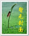 超级土豪系统（黑岩）万剑灵
