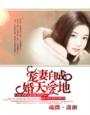 宠妻自成：婚天爱地