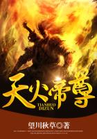 天火帝尊