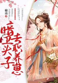 历史小说小说暗卫头子，专职养崽