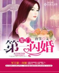 军门小说军门第一闪婚